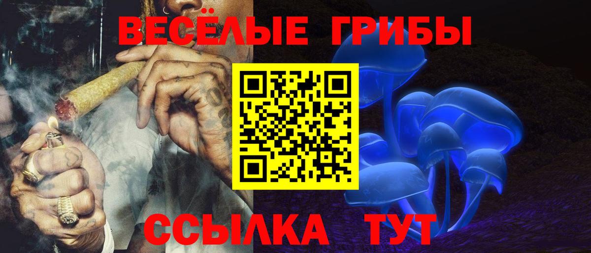 Нерюнгри  Галлюциногенные грибы MAGIC MUSHROOMS  Вход с VPN  Галлюциногенные грибы прущие грибы 